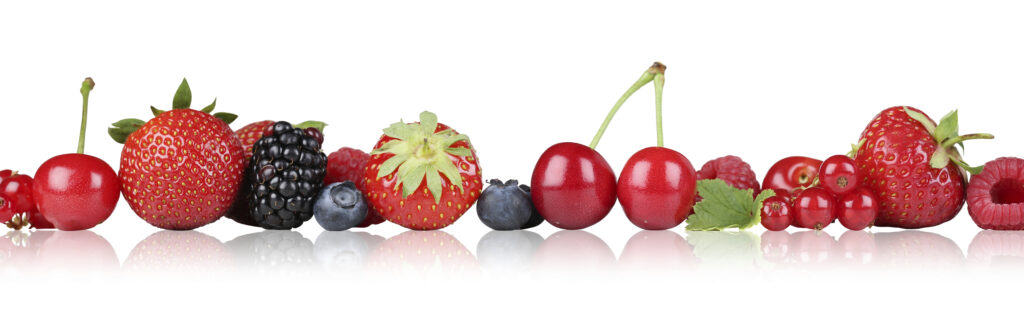 fruits rouges : cerise, fraise, mûre, framboise, groseilles